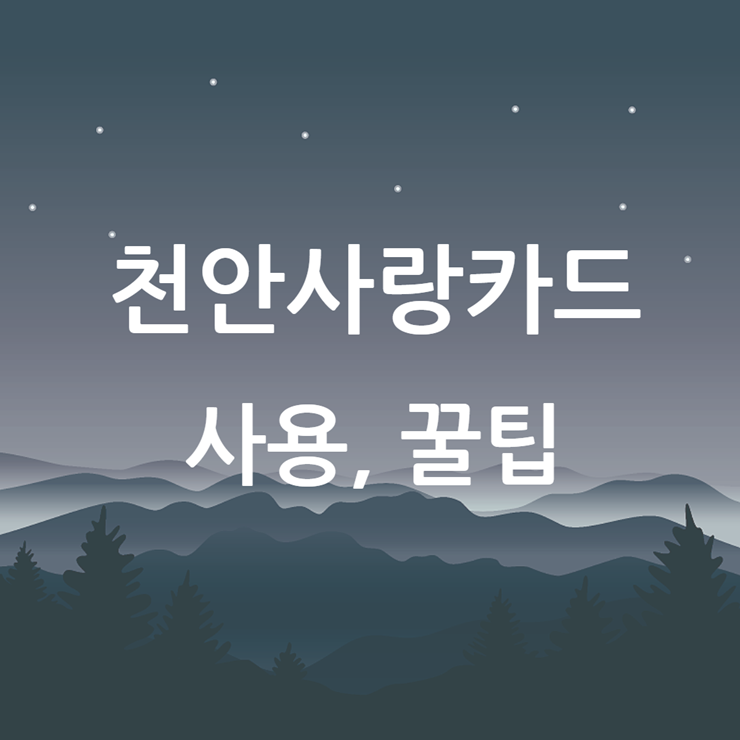 천안사랑카드
