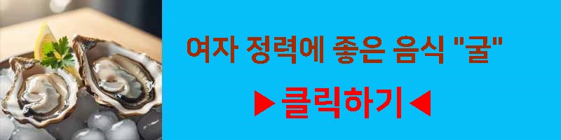 여자 정력에 좋은 음식 굴 영양 효과 섭취 방법 부작용 알아보기