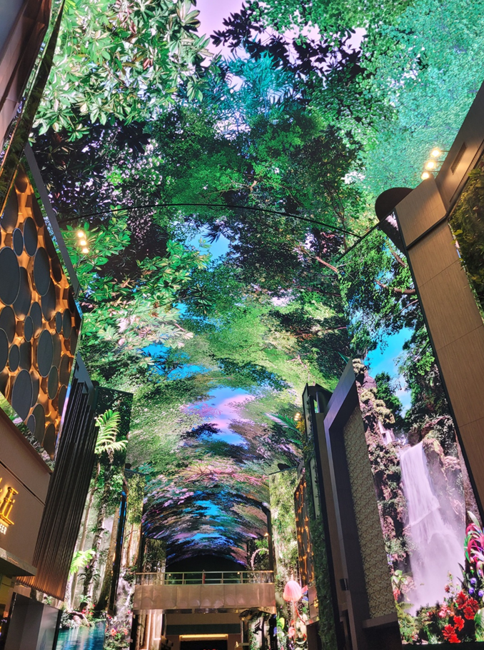 인스파이어 오로라