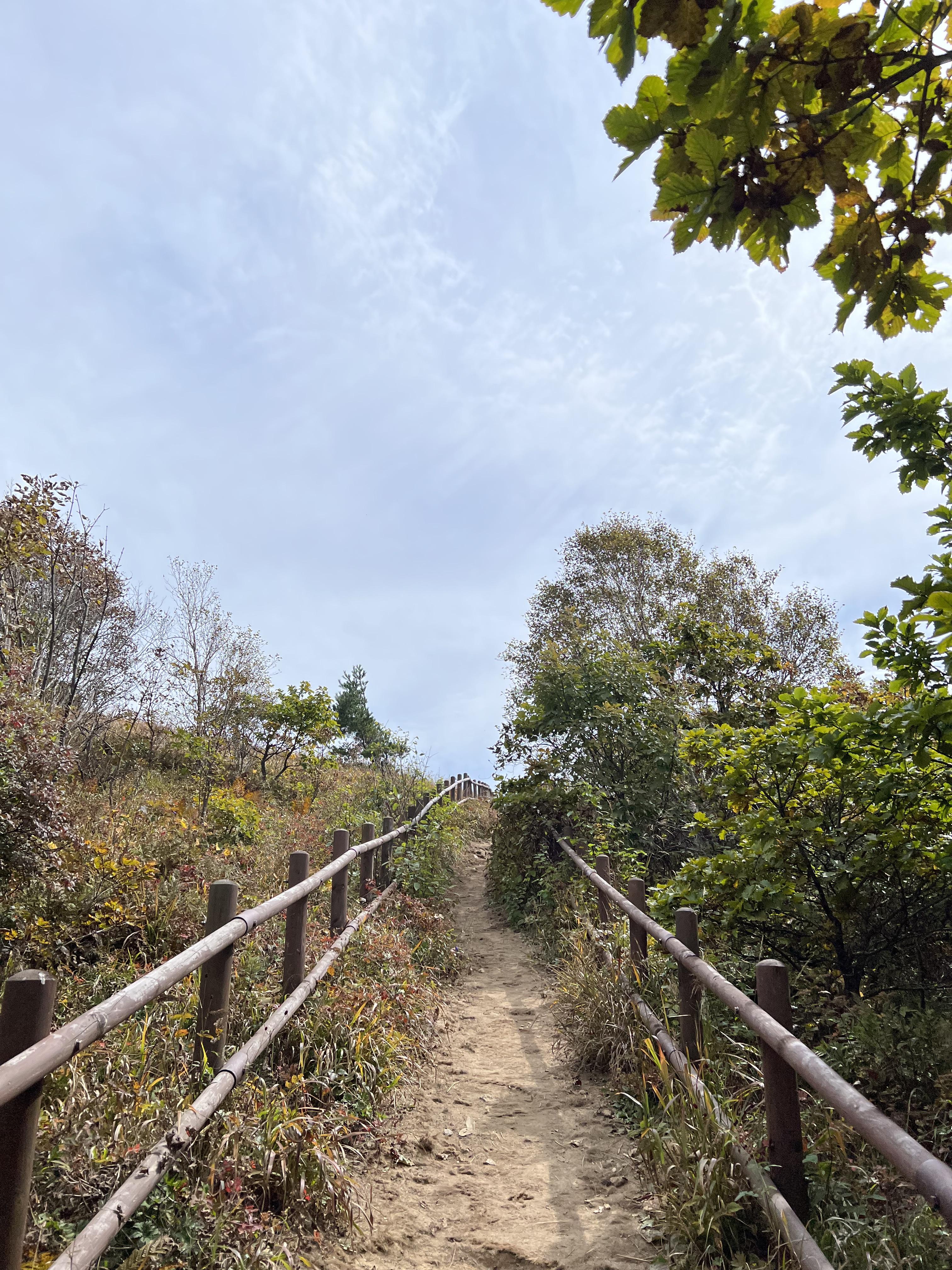 단풍놀이-소백산