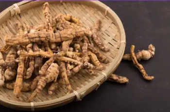 백수오 효능 및 영양성분, 주의점
