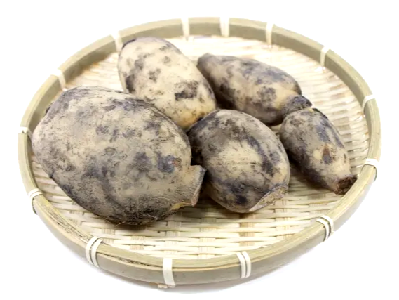 배변활동에 좋은 연근