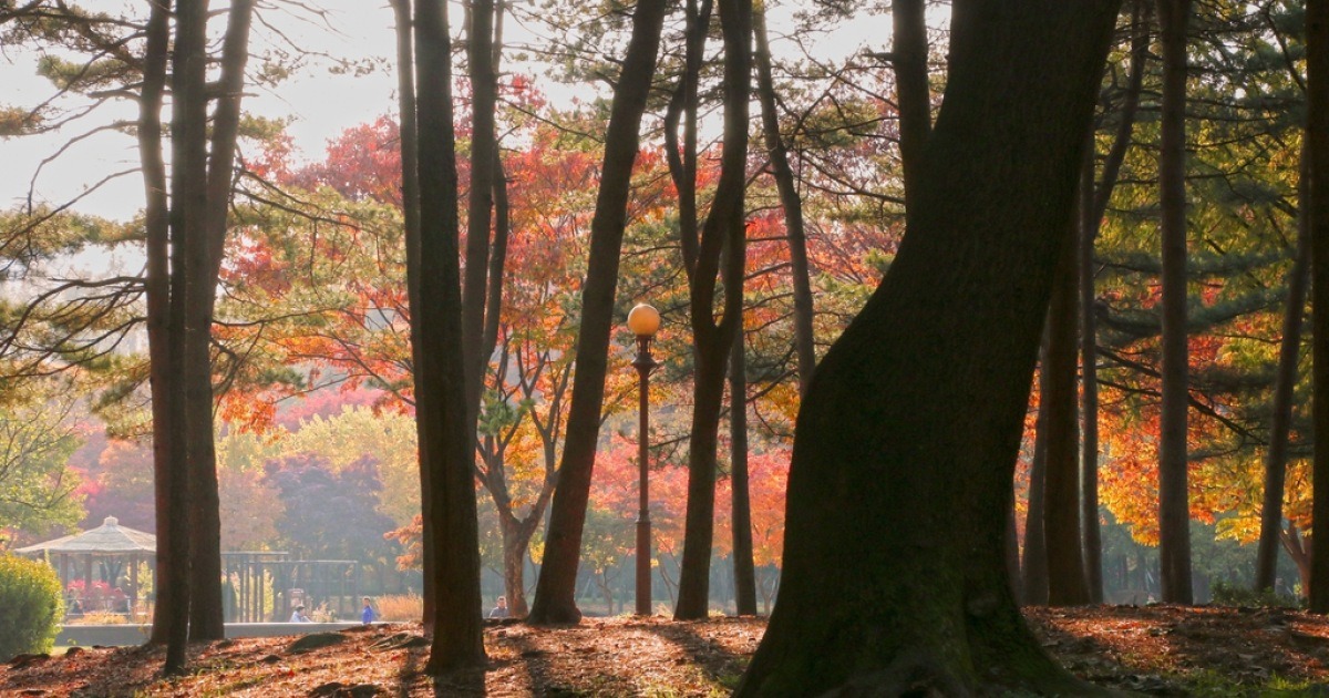 서초문화예술공원