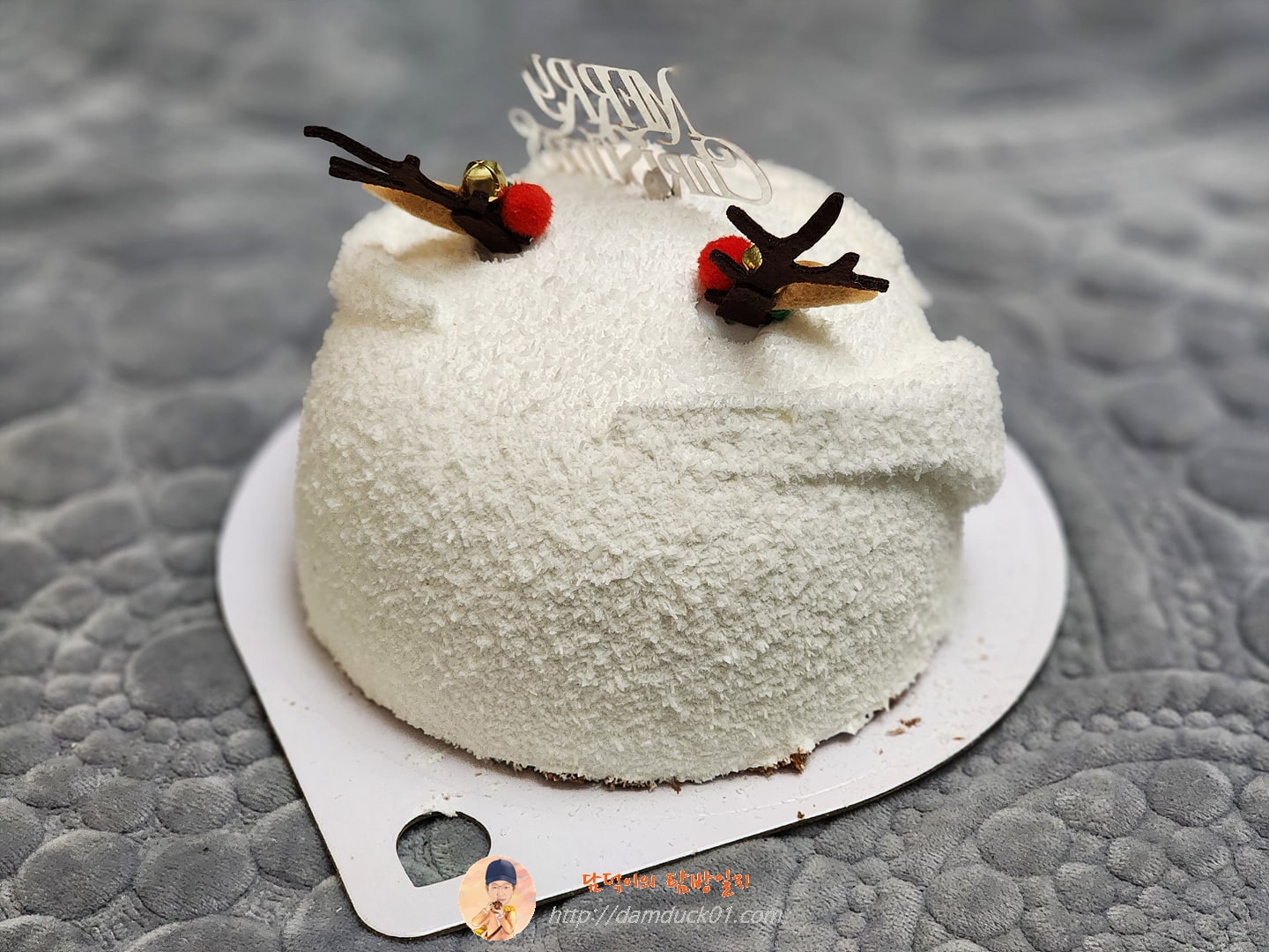 루시카토 흰둥이 1호