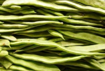 작두콩차 효능 및 부작용