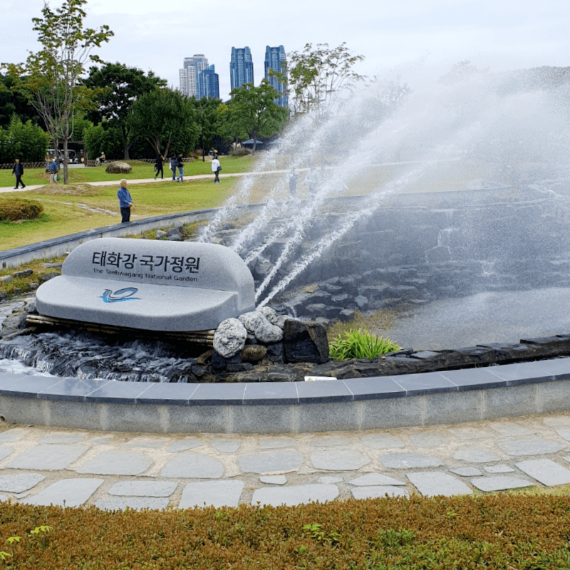 태화강국가정원