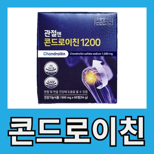 50대 관절 통증 관절 관리 콘드로이친효능 1200 함량 효능 부작용