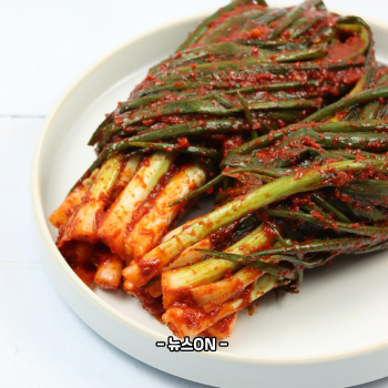 파김치 맛있게 담그는법