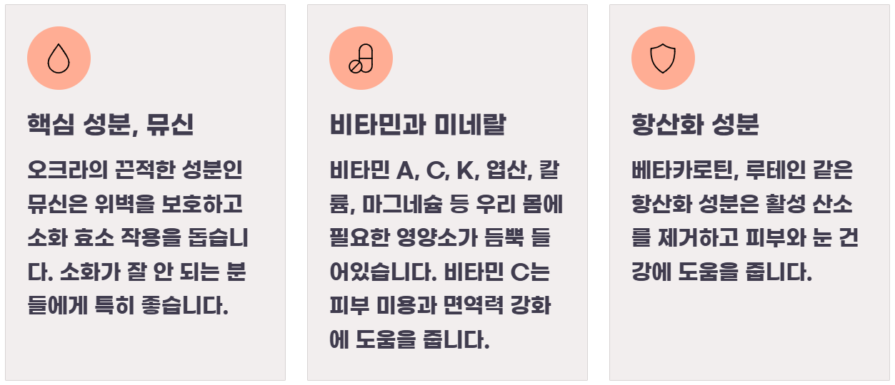 오크라 효능
