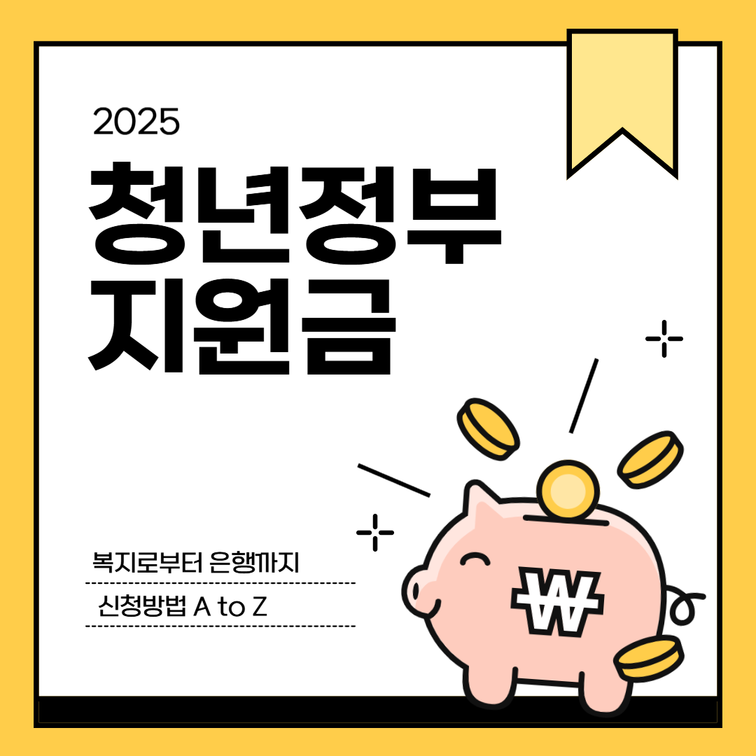 청년정부지원금