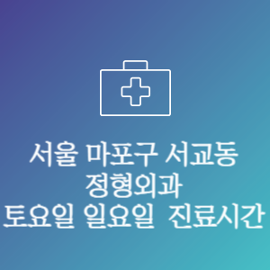 서울 마포구 서교동 주말 토요일 일요일 문여는 병원 진료시간