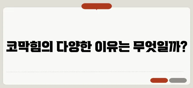 코막힘 원인과 해결 방법