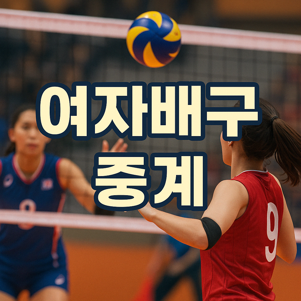 여자배구중계 ❘ 실시간 생중계 채널