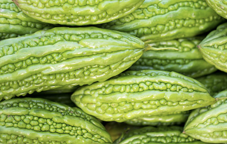 고혈압, 당뇨 잡아주는 여주 효능 총정리 (최신)