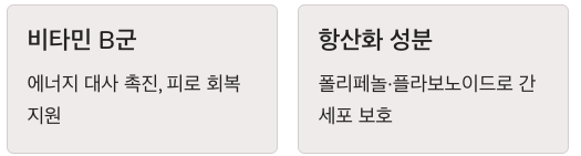 간에 좋은 비타민 B군