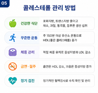 흡연은 HDL을 낮추고 혈관 건강을 악화시킬 수 있습니다.