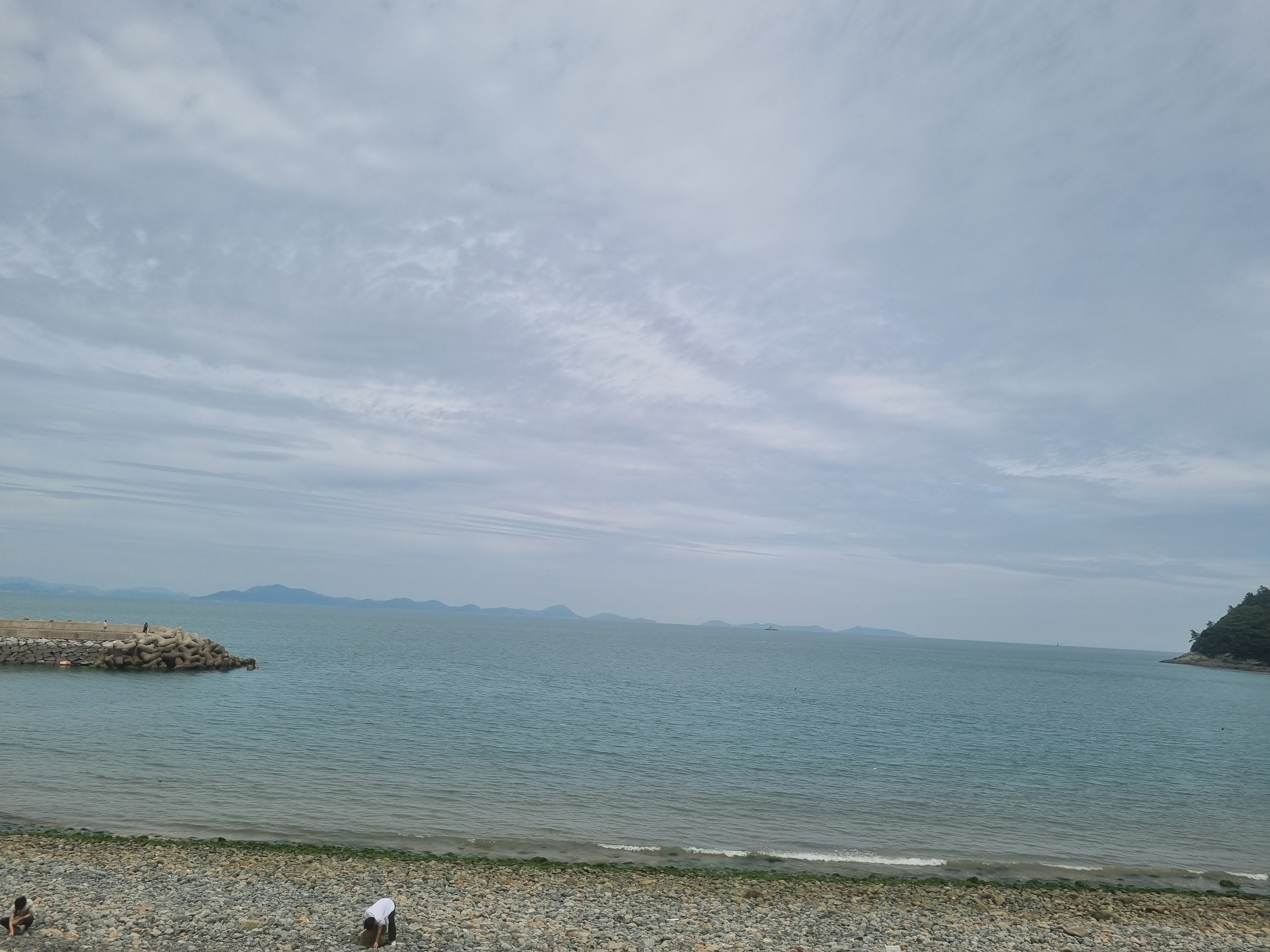 고흥 바다 관련 사진('24.6)