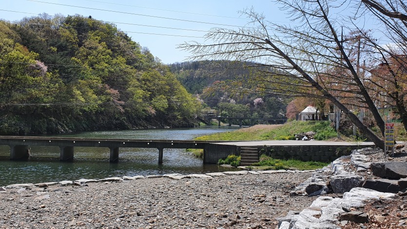 충북 금관숲캠핑장 소개