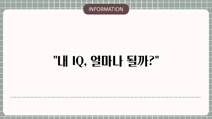 무료 아이큐 테스트 사이트 모음