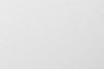 면역력 높이는 영양제 추천