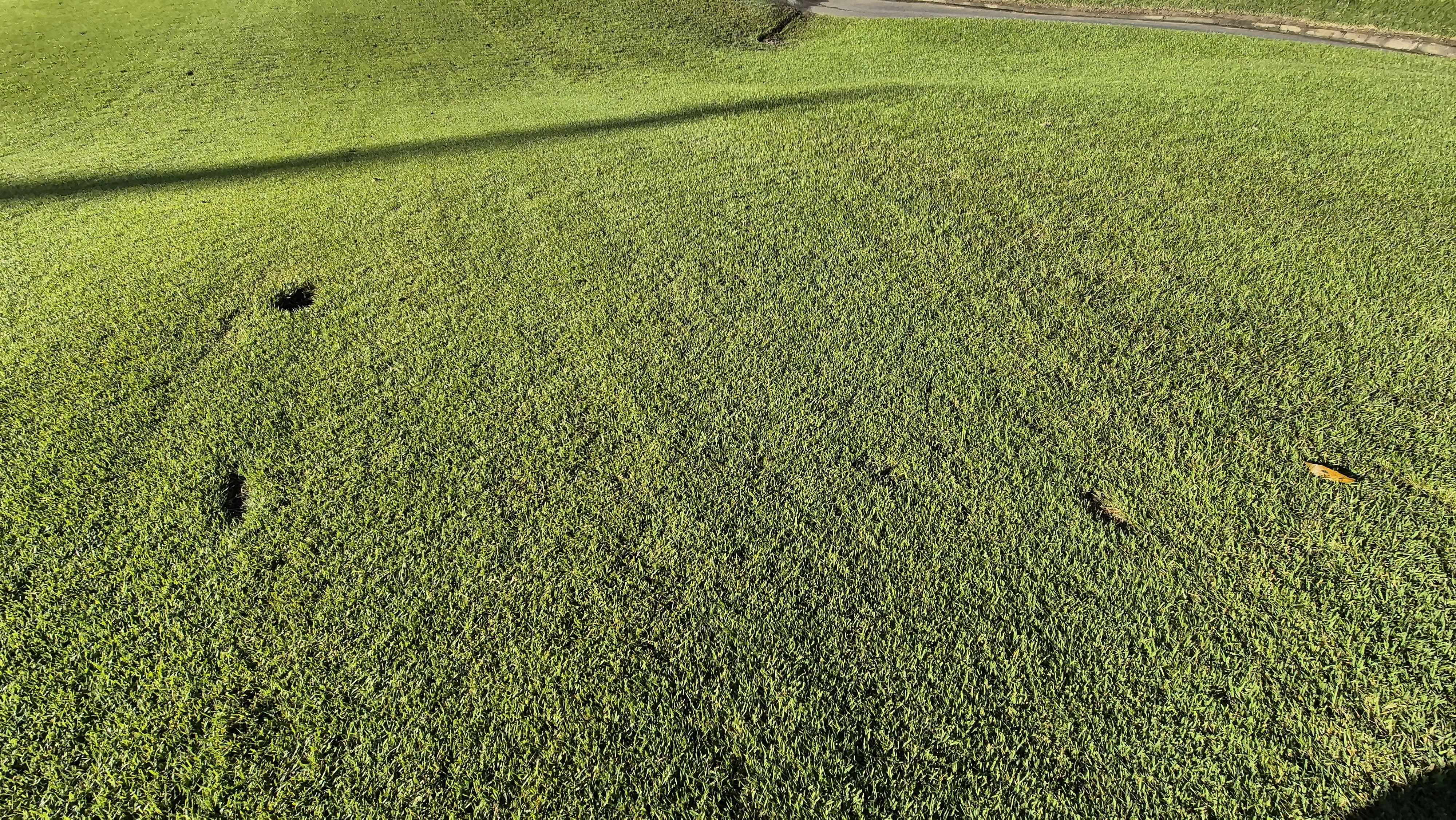 떼제베cc 동-북 코스 난이도