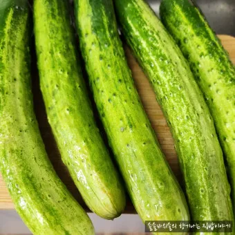 nv_오이 효능_7