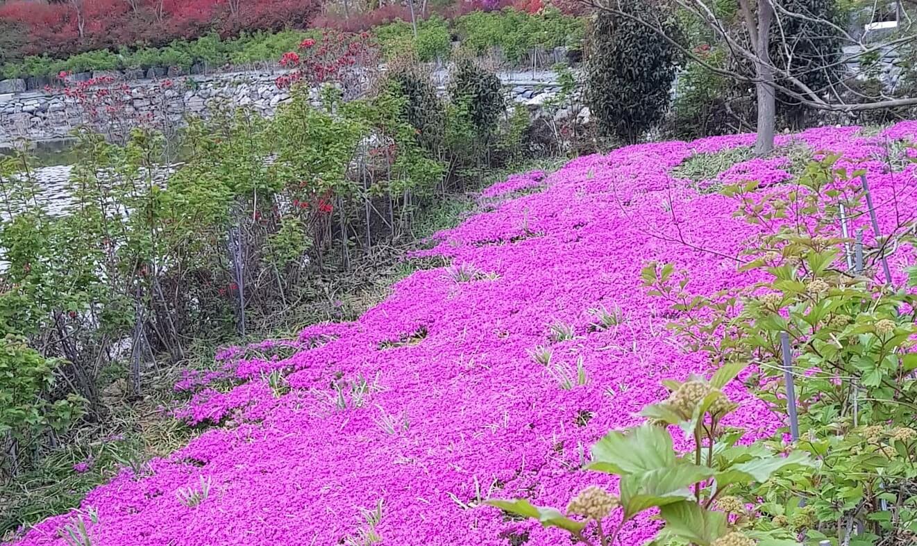 강진 남미륵사 : 전라남도 강진에서 만나는 한국 최대 미륵불 도량