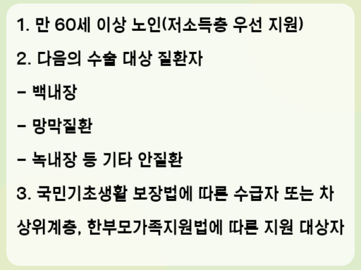 2023 노인 개안수술비 지원