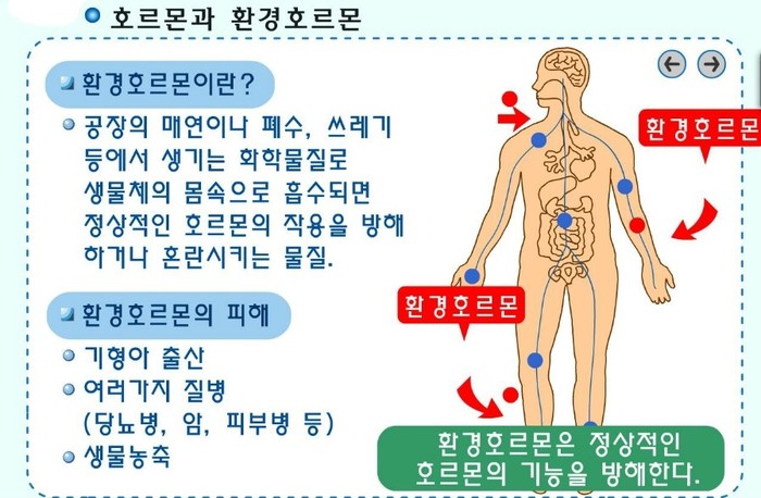 환경호르몬 정의 및 개념도