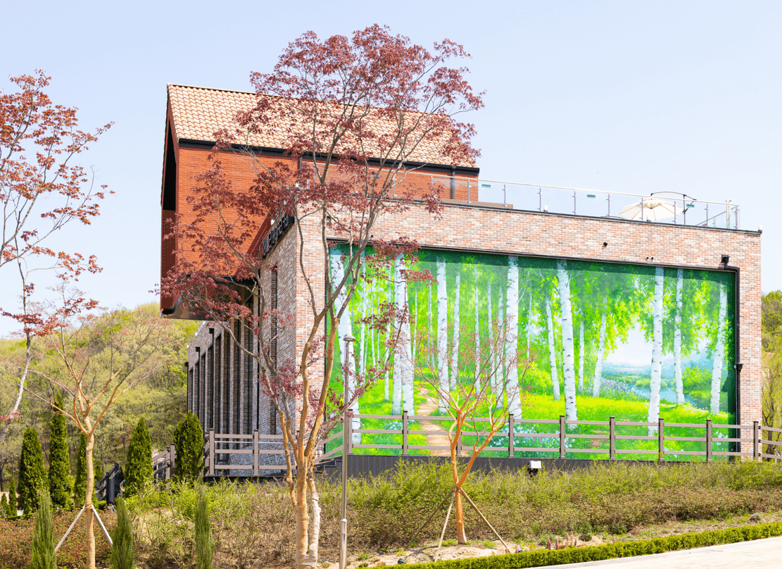 용인 자작나무숲 봄꽃축제