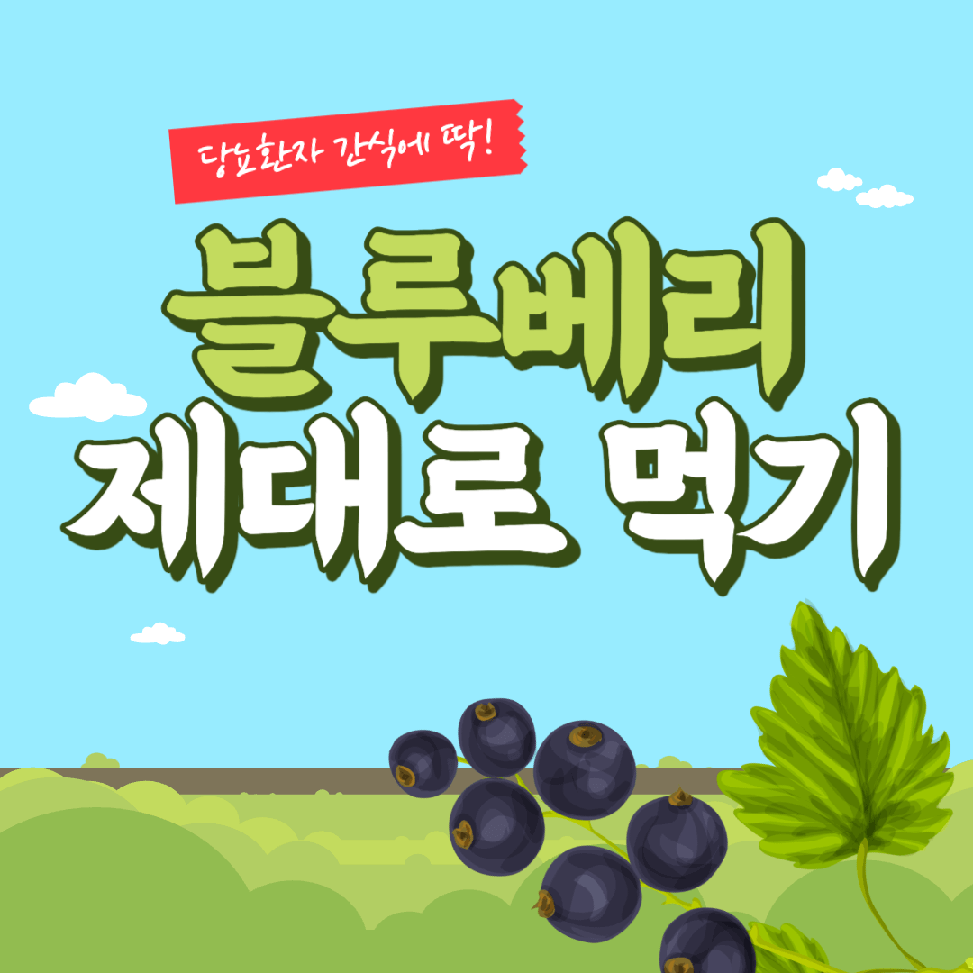 당뇨환자 간식-블루베리 효능-블루베리 가격-혈당관리-블루베리-먹는 법