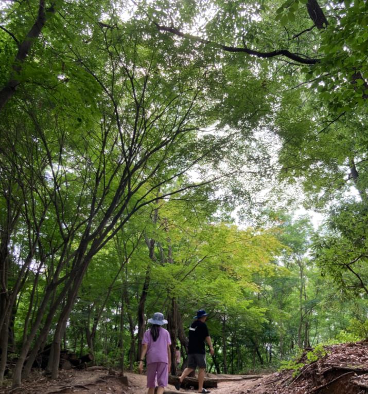 초안산캠핑장