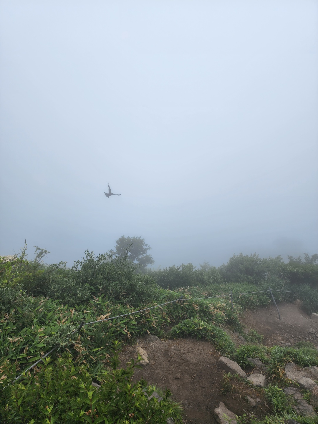 한라산-여행
