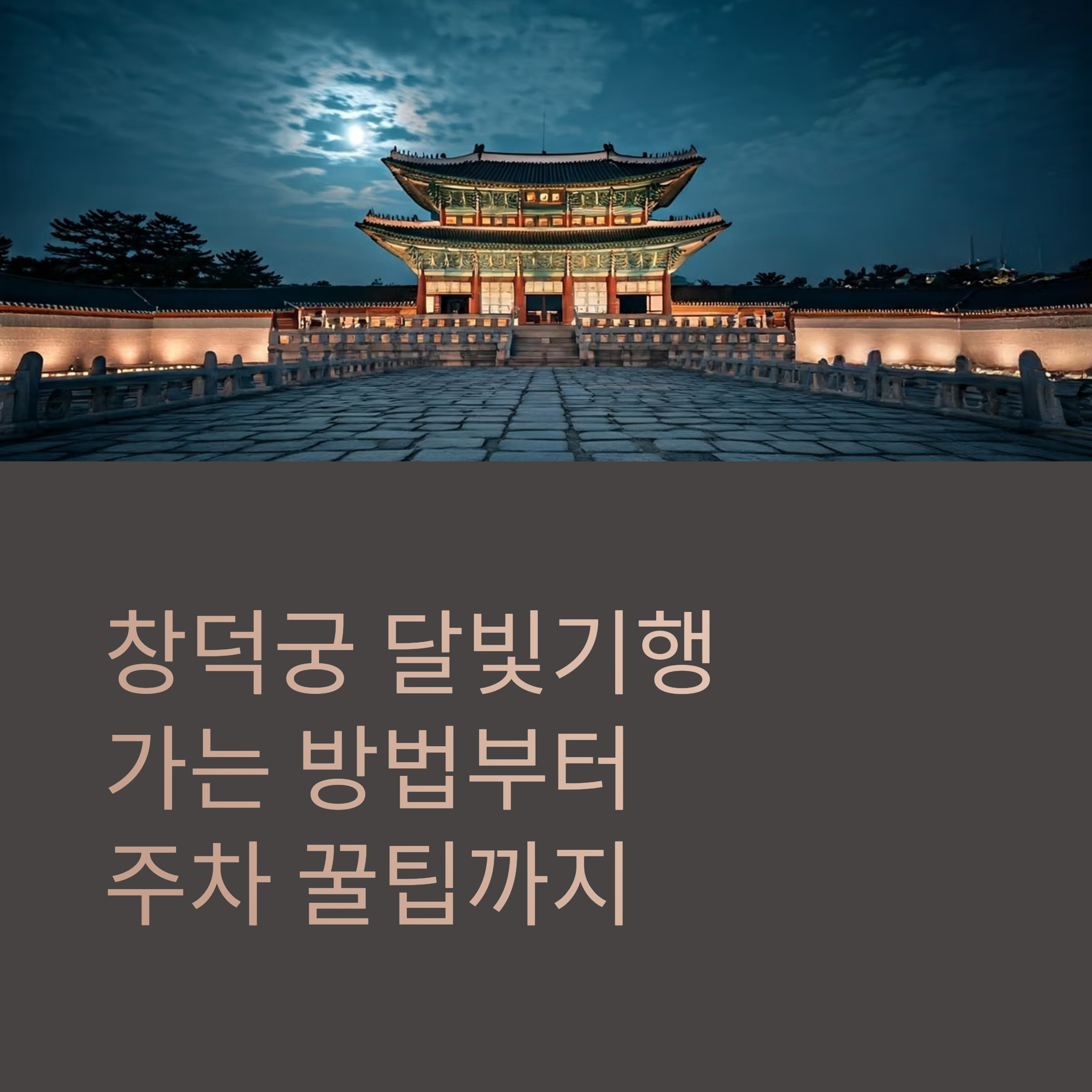 창덕궁 달빛기행 가는 방법부터 주차 꿀팁까지