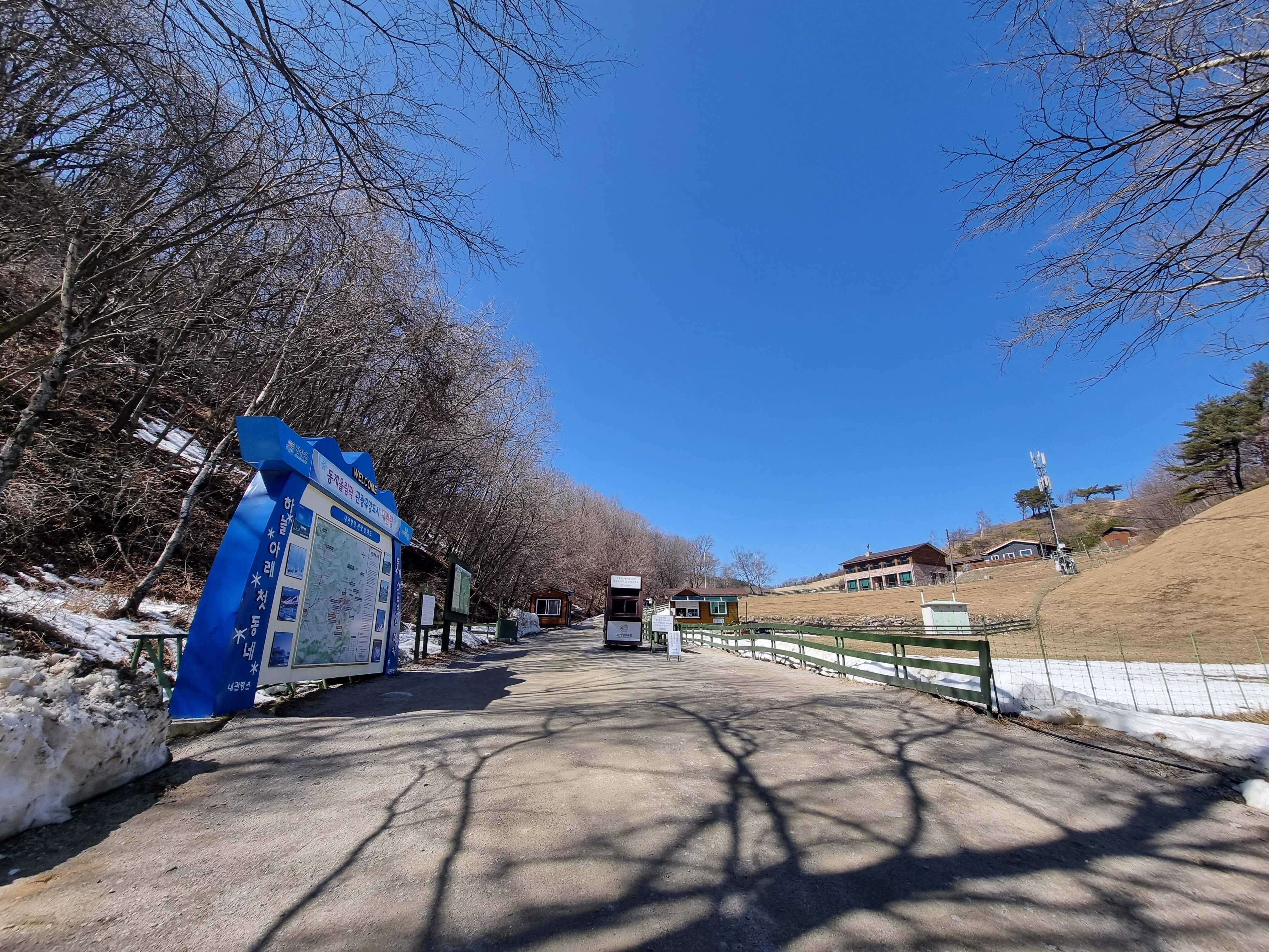 강원도 대관령 양떼목장