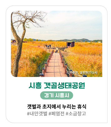 가을&amp;#44; 가을꽃 여행지 추천