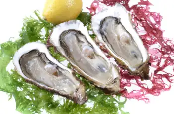 통영굴 가격 및 효능, 영양성분과 주의점