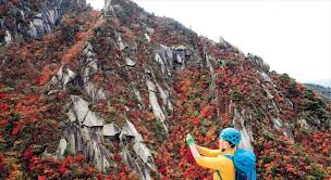 북한산 단풍 명소 베스트코스