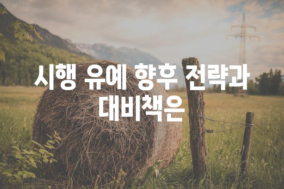 시행 유예 향후 전략과 대비책은