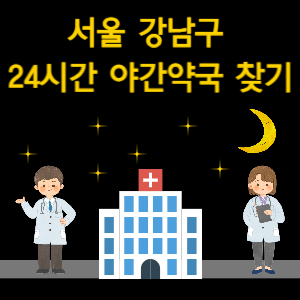 서울 강남구 24시간 야간 심야 당번 약국 찾기