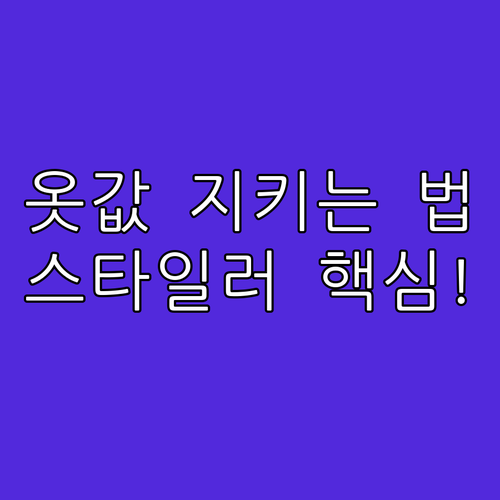 고가 의류 가치 보존: 스타일러 저온..