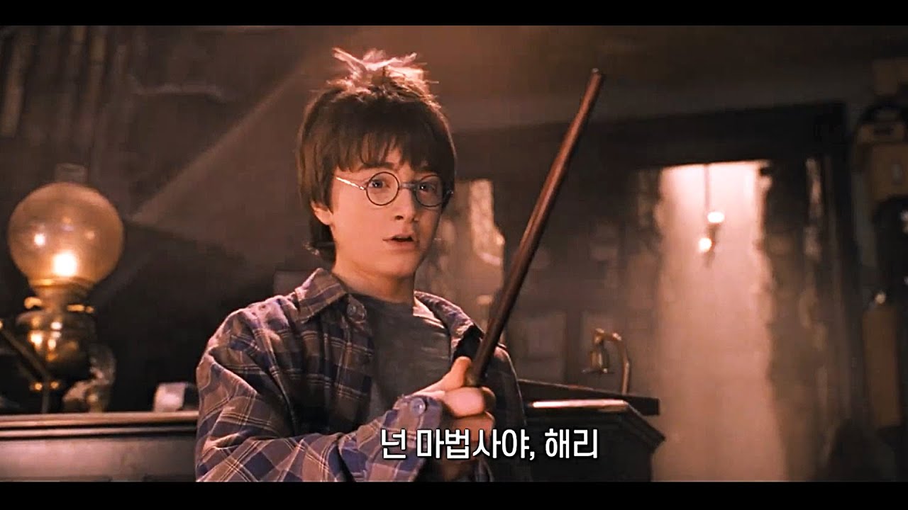해리포터와 비밀의 방 영화정보 출연배우 등장인물 줄거리 리뷰 및 평점