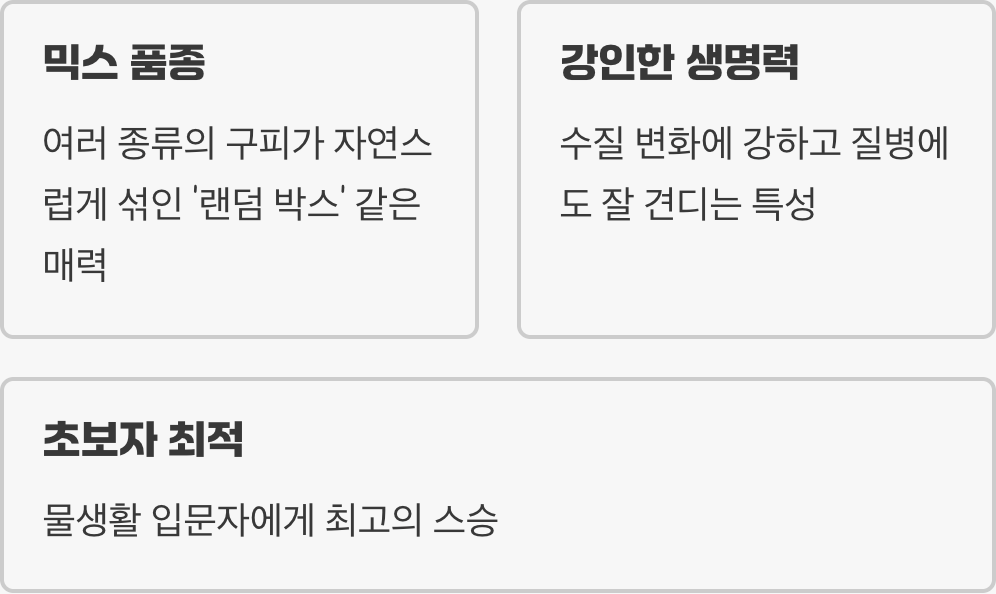 &amp;#39;막구피&amp;#39; - 강인한 생명력과 예측 불허의 매력