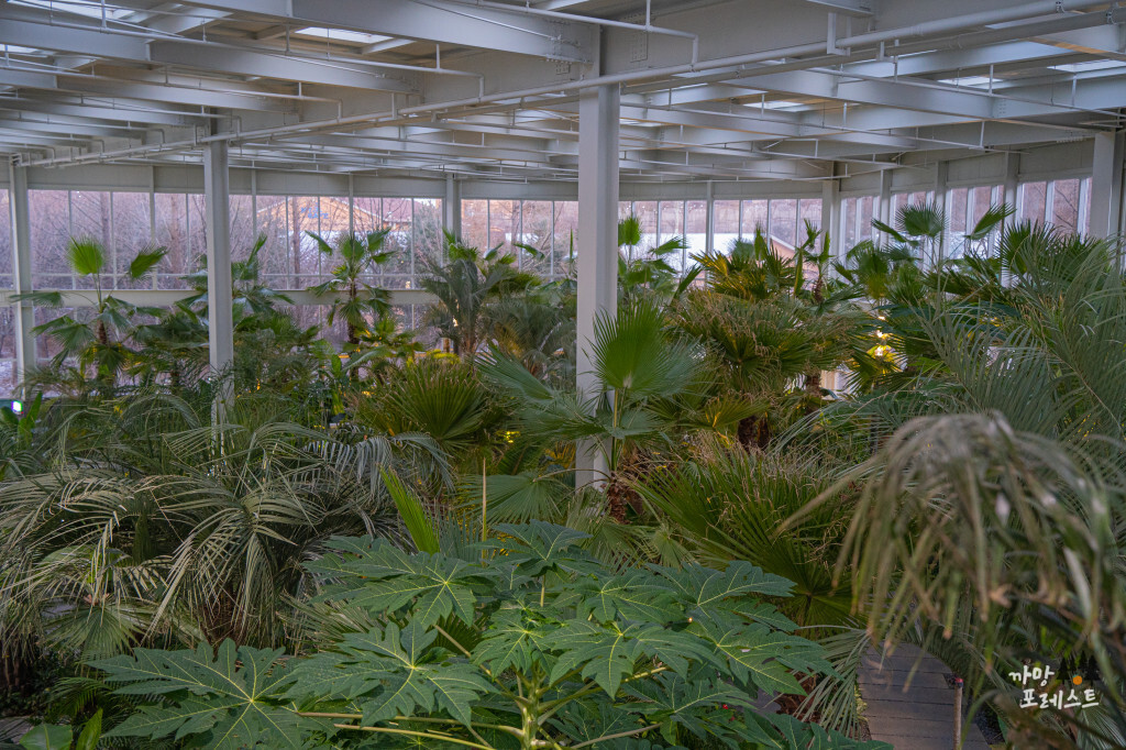 파주 문지리 535 식물원 카페