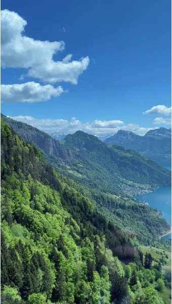 스위스 리기산 당일치기 유람선산악열차하이킹 완벽 코스 후기로 안내_12