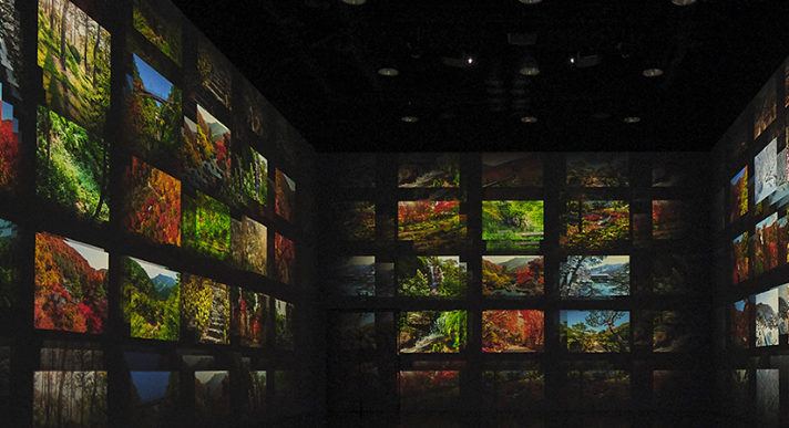 화담숲 추천코스