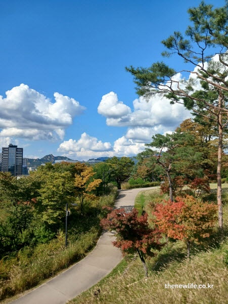 서울 단풍명소 남산 성벽길 가을 풍경