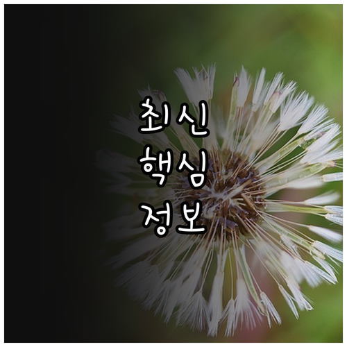 아동복지시설 2025 치료재활지원 신..