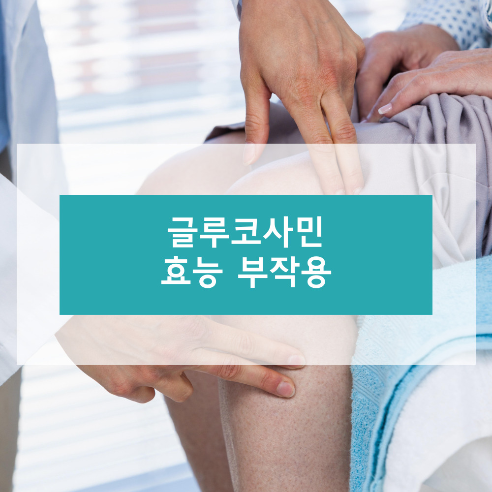 글루코사민에 대하여