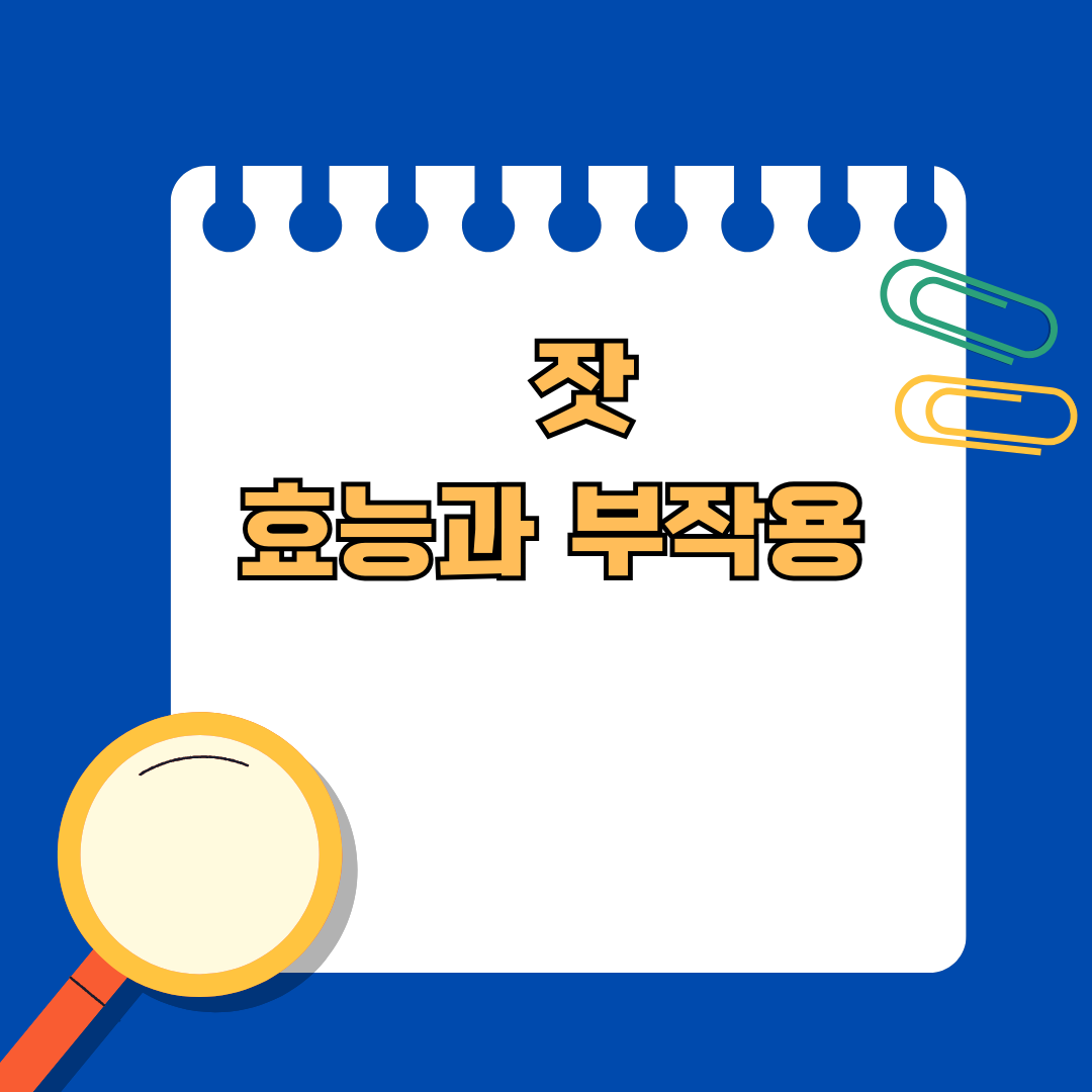 잣, 그 효능과 부작용